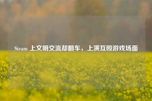 Steam 上文明交流却翻车，上演互殴游戏场面
