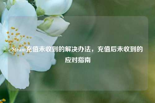 Steam充值未收到的解决办法，充值后未收到的应对指南