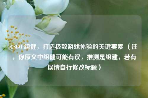 CSGO 组健，打造极致游戏体验的关键要素 （注，你原文中组健可能有误，推测是组建，若有误请自行修改标题）