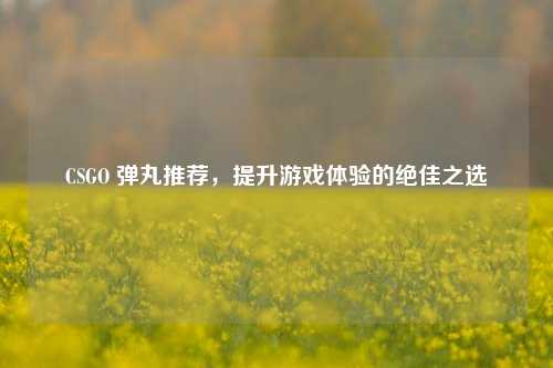 CSGO 弹丸推荐，提升游戏体验的绝佳之选