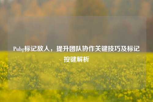 Pubg标记敌人，提升团队协作关键技巧及标记按键解析