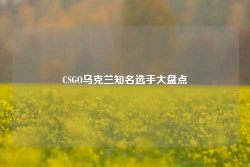 CSGO乌克兰知名选手大盘点