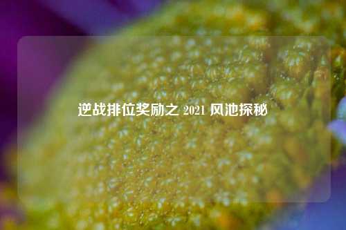逆战排位奖励之 2021 风池探秘