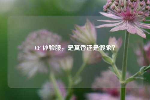 CF 体验服，是真香还是假象？