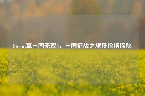 Steam真三国无双8，三国征战之旅及价格探秘