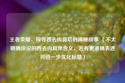 王者荣耀，探寻西去内背后的神秘故事 （不太明确你说的西去内具体含义，若有更准确表述可进一步优化标题）