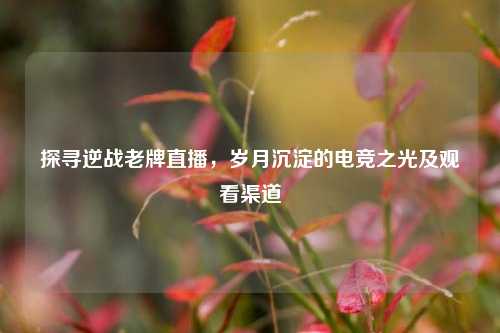 探寻逆战老牌直播，岁月沉淀的电竞之光及观看渠道