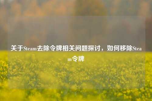 关于Steam去除令牌相关问题探讨，如何移除Steam令牌