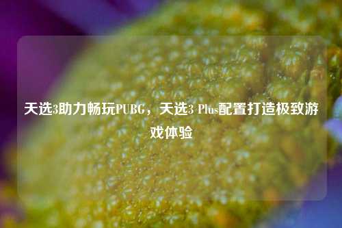 天选3助力畅玩PUBG，天选3 Plus配置打造极致游戏体验