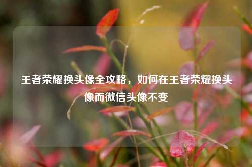 王者荣耀换头像全攻略，如何在王者荣耀换头像而微信头像不变