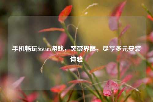 手机畅玩Steam游戏，突破界限，尽享多元安装体验