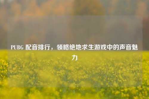 PUBG 配音排行，领略绝地求生游戏中的声音魅力