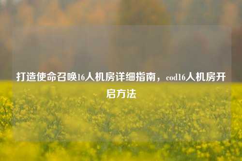 打造使命召唤16人机房详细指南，cod16人机房开启方法