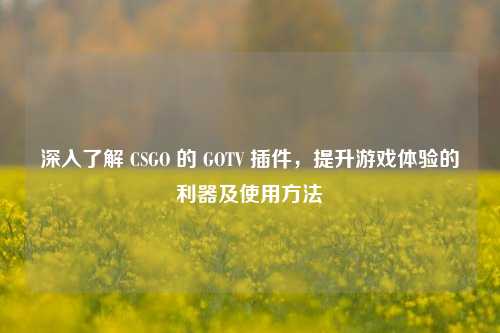 深入了解 CSGO 的 GOTV 插件，提升游戏体验的利器及使用方法