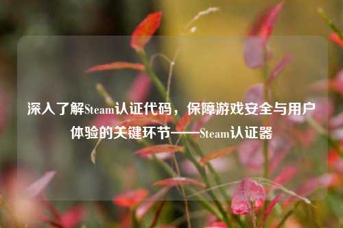 深入了解Steam认证代码，保障游戏安全与用户体验的关键环节——Steam认证器