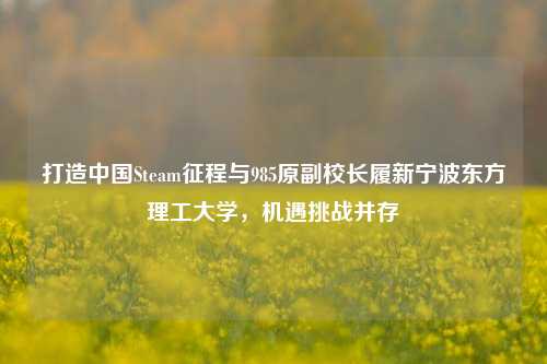 打造中国Steam征程与985原副校长履新宁波东方理工大学，机遇挑战并存