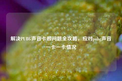 解决PUBG声音卡顿问题全攻略，应对pubg声音一卡一卡情况