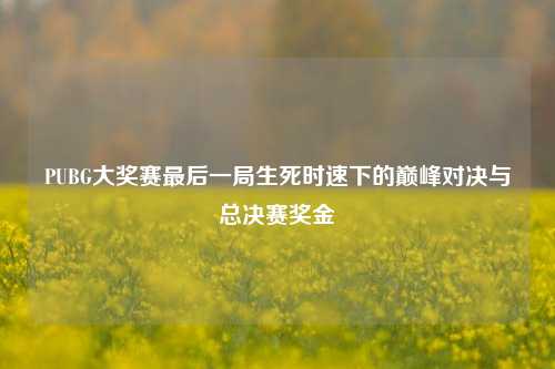 PUBG大奖赛最后一局生死时速下的巅峰对决与总决赛奖金
