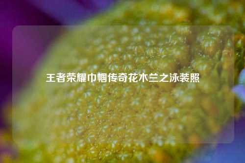 王者荣耀巾帼传奇花木兰之泳装照