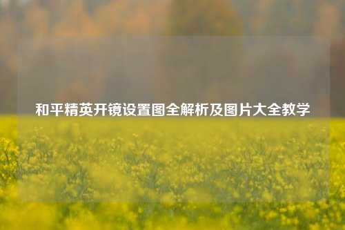 和平精英开镜设置图全解析及图片大全教学