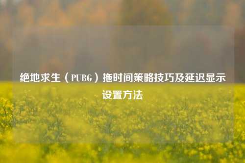 绝地求生（PUBG）拖时间策略技巧及延迟显示设置方法