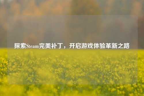 探索Steam完美补丁，开启游戏体验革新之路
