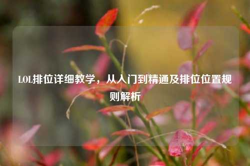 LOL排位详细教学，从入门到精通及排位位置规则解析