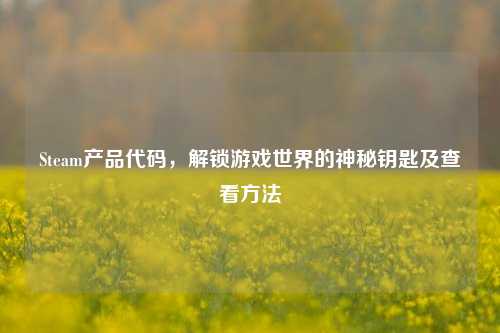 Steam产品代码，解锁游戏世界的神秘钥匙及查看方法