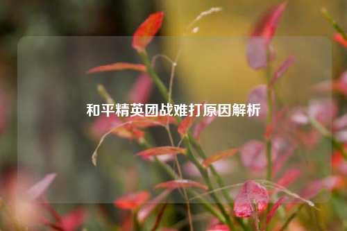 和平精英团战难打原因解析