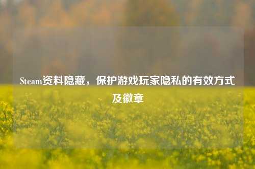 Steam资料隐藏，保护游戏玩家隐私的有效方式及徽章