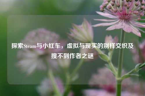 探索Steam与小红车，虚拟与现实的别样交织及搜不到作者之谜