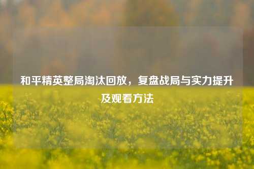 和平精英整局淘汰回放，复盘战局与实力提升及观看方法