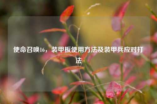 使命召唤16，装甲板使用方法及装甲兵应对打法