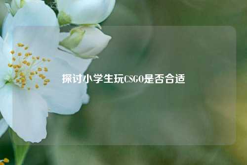 探讨小学生玩CSGO是否合适