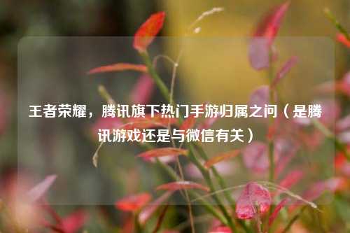 王者荣耀，腾讯旗下热门手游归属之问（是腾讯游戏还是与微信有关）