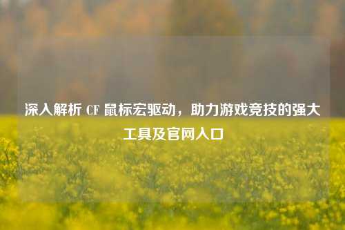 深入解析 CF 鼠标宏驱动，助力游戏竞技的强大工具及官网入口