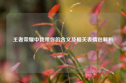 王者荣耀中我带你的含义及相关表情包解析