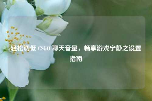 轻松调低 CSGO 聊天音量，畅享游戏宁静之设置指南