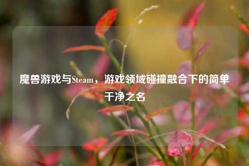 魔兽游戏与Steam，游戏领域碰撞融合下的简单干净之名
