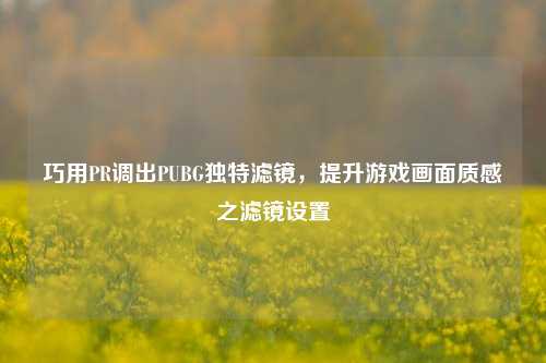 巧用PR调出PUBG独特滤镜，提升游戏画面质感之滤镜设置