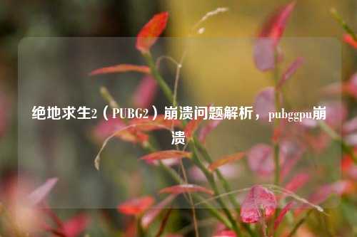 绝地求生2（PUBG2）崩溃问题解析，pubggpu崩溃