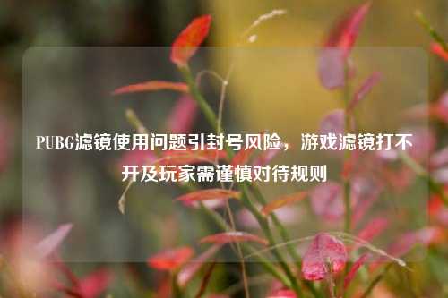 PUBG滤镜使用问题引封号风险，游戏滤镜打不开及玩家需谨慎对待规则