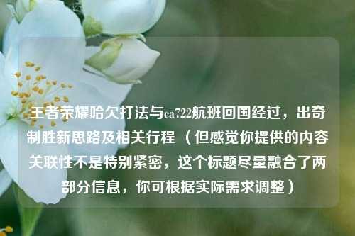 王者荣耀哈欠打法与ca722航班回国经过，出奇制胜新思路及相关行程 （但感觉你提供的内容关联性不是特别紧密，这个标题尽量融合了两部分信息，你可根据实际需求调整）