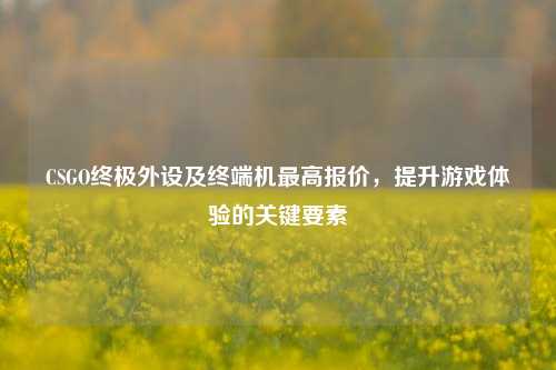 CSGO终极外设及终端机最高报价，提升游戏体验的关键要素