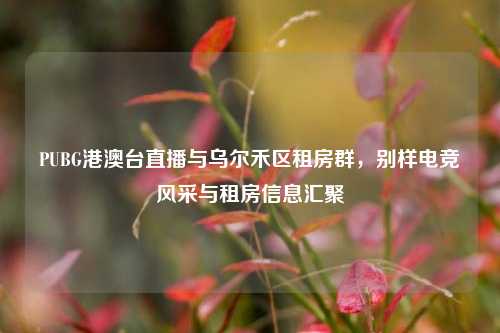 PUBG港澳台直播与乌尔禾区租房群，别样电竞风采与租房信息汇聚