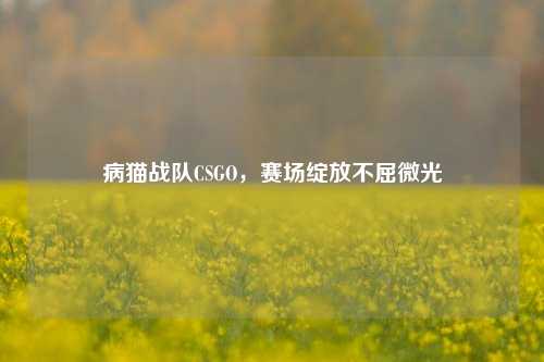 病猫战队CSGO，赛场绽放不屈微光
