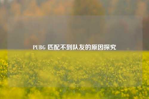 PUBG 匹配不到队友的原因探究