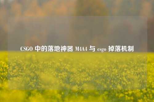 CSGO 中的落地神器 M4A4 与 csgo 掉落机制