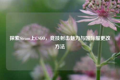 探索Steam上CSGO，竞技射击魅力与国际服更改方法