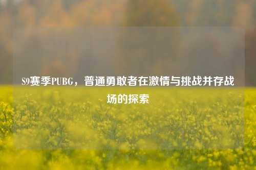 S9赛季PUBG，普通勇敢者在激情与挑战并存战场的探索